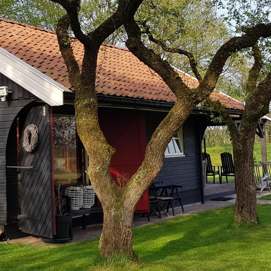 Aljemint Bed & Breakfast Oentsjerk Exterior photo